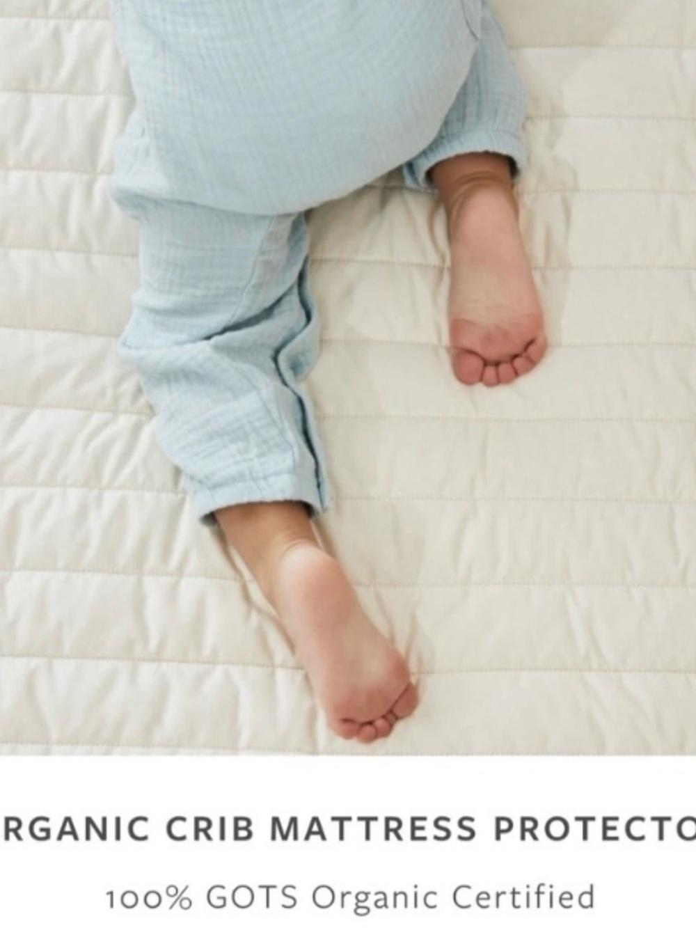 avocado Cream Quilted Crib Mattress Protector